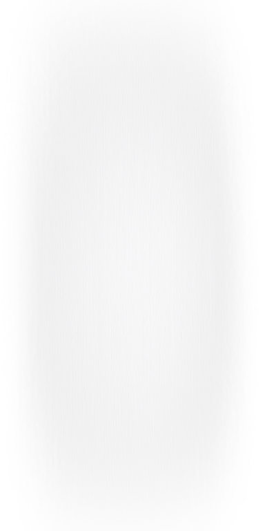 BRUSH 1