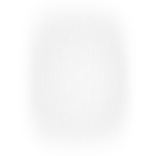 BRUSH 3