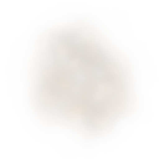 DUST 1