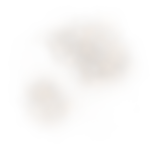 DUST 2